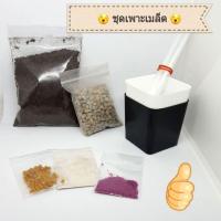 ราคา ชุดเพาะเมล็ดกระบองเพชร แคคตัส (912824418)