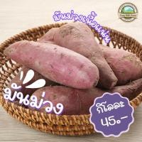 ราคา ค่าส่งถูก!! มันม่วง มันม่วงญี่ปุ่นเนื้อสีม่วง ปลูกในไทย [สินค้าเกษตรชุมชน] ✅ มีการรับประกันสินค้าทั่วประเทศ (6438781080)