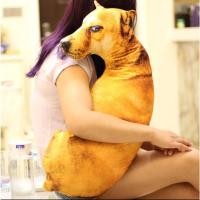 ราคา หมอนหมาหงอย3D หมอน3มิติ นุ่มนิ่มน่ากอด ใช้เป็นของขวัญเพื่อนขำแน่นอน (44307430058)