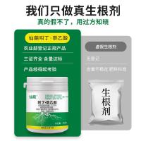 ราคา Nphthyl Acid Tranexamic Acid การปลูกตัด Fast Growth Root Growth Regulator Fast Growth Root Powder Naphthyl Acid 5.9 (48750121542)