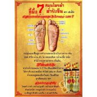 ราคา (1 ขวด) เปเป้ยังน้ำมันขี้ผึ้ง 7 สมุนไพรดำตำรับจีน ฟื้นฟูสมดุลร่างกาย แก้ปวดเมื่อย ข้อ เข่า เอว ท้ายทอย แก้พิษแมลงกัดต่อย (3762607296)