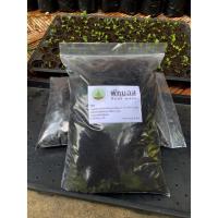 ราคา พีทมอส peat moss ขนาด 5ลิตร (คลาสแมน) by farm him Chan (10738434321)