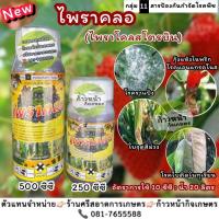 ราคา ไพราคลอ(ไพราโคลสโตรบิน)ป้องกันโรคพืช โรคราแป้ง โรคแอนแทรคโนส โรคกุ้งแห้งในพริก โรคใบจุดสีม่วงในหอมกระเทียม (24327482869)