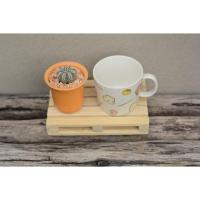 ราคา พาเลทไม้สนเอนกประสงค์ ขนาด 12X19 เซน (63438201)