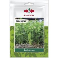 ราคา คลื่นฉ่าย ตังฉ่ายหมดอายุ01/08/2566ขึ้นฉ่าย คื่นฉ่ายจันทร์วาดกอใหญ่ ต้นขาว กลิ่นหอม เก็บเกี่ยว 50วันหลังหว่านเมล็ด (10745088992)