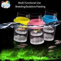 ราคา PROM กล่องฟักลอย, ตาข่ายพลาสติก Aquarium Breeder ลอยปลา Breeding กล่องแยก, กุ้ง Guppy ที่ถอดออกได้ Fish Hatchery Incubator Breeder กล่อง (40620587325)