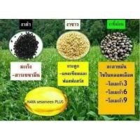 ราคา น้ำมันงาสกัดเย็น นาย่าเซซามีน พลัส NAYA Sesameen plus (60 แคปซูน) (18231928941)