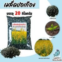 ราคา เมล็ดพันธุ์ปอเทือง บรรจุ 20กิโลกรัม เมล็ดปอเทือง พันธุ์ปอเทือง เม็ดพันธุ์ปอเทือง ดอกปอเทือง เม็ดปอเทือง ต้นปอเทือง (29215463480)