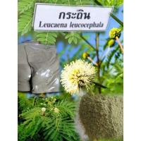 ราคา ใบกระถินป่น (Leucaena leaf meal) บรรจุ 1 กิโลกรัม (23026688381)