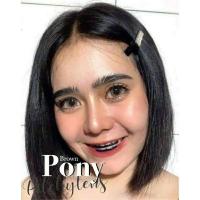 ราคา pony gray / pony brown (15922034072)