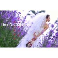 ราคา ผ้าคลุมผมเจ้าสาวคลาสสิค สีขามครีม (2664081019)