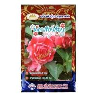 ราคา เมล็ดดอกเทียนซ้อน BALSM MT/FW-01 ประมาณ75เมล็ด เมล็ดพันธุ์ดอกไม้ ดอกเทียนซ้อน เมล็ดดอกไม ตราภูเขาทอง (19593468683)