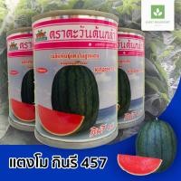 ราคา กินรี 457 เมล็ดพันธุ์แตงโม แตงโมกินรี ตะวันต้นกล้า (836850376)