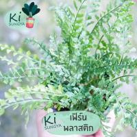 ราคา ต้นเฟิร์นพลาสติก ต้นไม้มงคล ต้นไม้จิ๋ว (17501292152)