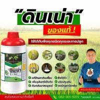 ราคา ดินเน่า สารปรับปรุงดิน Din nao (40867290142)