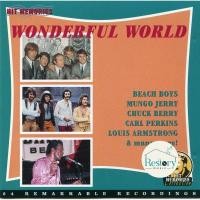 ราคา ซีดี Various - Wonderful World (CD) (G+) (24788255995)