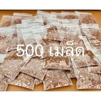 ราคา เมล็ดพยุงไทย หรือพะยูงไทย (คัดเลือกเมล็ดที่ดี มีคุณภาพ เมล็ดใหม่ ปี 2564 ) จำนวน 500+ เมล็ด (7217393956)