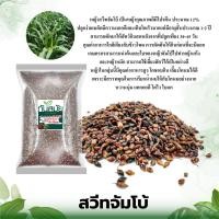 ราคา เมล็ดพันธุ์หญ้า สวีทจัมโบ้ 1 กก.(พร้อมปลูก) เมล็ดหญ้า พันธุ์หญ้าอย่างดี สวีทจัมโบ้ พันธุ์จัมโบ้ (9420851585)