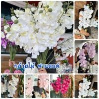 ราคา กล้วยไม้ ฟาแลนด์ กล้วยไม้ประดิษฐ์ กล้วยไม้ผ้าอย่างดี ก้านยาว กล้วยไม้อย่างดี กล้วยไม้ปลอม (40556807725)