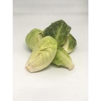 ราคา แขนงคะน้า - ดอกแขนงสด คะน้าแขนง ขะแนง ใบแขนง ต้นแขนง (15462915768)