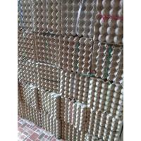 ราคา แผงไข่มืองสอง แผงไข่กระดาษ 100 แผง 250 บาท คัดสวยทุกแผง (9036347967)