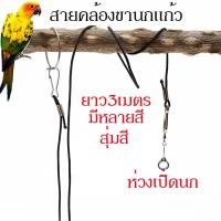 ราคา พร้อมส่งสายคล้องขานกแก้ว 3เมตร สายจูงนกแบบยืดหยุ่นได้ ห่วงเปิดนก ฝึกนก ป้องกันนกหลุด (18229363761)