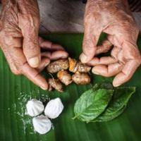 ราคา ต้นเนียมหอม,เนียมอ้ม,ใบเหล้าวอดชุด2️⃣ ต้น 1️⃣0️⃣9️⃣ บาท(เครื่องหอมในวัฒนธรรมอีสาน) "กลิ่นหอมคล้ายกลิ่นใบเตยผสมยอดข้าว" (22547979225)