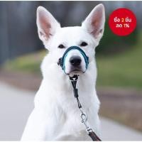 ราคา PetSafe Comfort-Fit ปลอกคอสุนัขพร้อมคอป้องกันเบาะเดินตะกั่วสัตว์เลี้ยงซัพพลายสําหรับทุกวัน (41274780829)