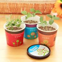 ราคา DIY ภาพ DIY ที่ชื่นชอบ (19683192186)