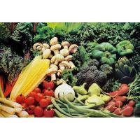 ราคา โปสเตอร์ รูปถ่าย รวม ผักสด ผลไม้ มังสวิรัติ POSTER 21”x30.5” นิ้ว Fresh Raw Vegetables And Fruits Vegan (9512008782)