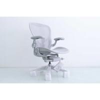 ราคา Herman Miller Remastered Aeron Chair – สี Mineral | โครง Steel Full Option Posture Fit SL แถมฟรี Atlas Headrest (40119981986)