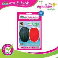 ราคา เมล็ดแตงโม กินรี C-28 ตราตะวันต้นกล้า (20311845207)
