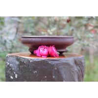 ราคา บน กระถางบอนไซดินสีม่วงจีนคุณภาพสูงแบบ1(รุ่นกระถาง6) (27450066044)