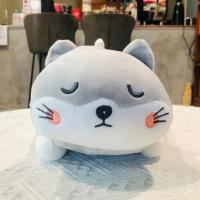 ราคา Moshi Moshi ตุ๊กตา 002 แมวนอน A19 สีเทา ขนาด 35 ซม. (43408590085)