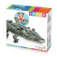 ราคา แพเป่าลม Intex 57551 พร้อมส่ง (44423538967)