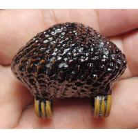 ราคา เบี้ยแก้หลวงปู่เจือวัดกลางบางแก้วประมาณปี 2545 สามห่วง (44368389311)