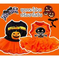 ราคา ชุดฮาโลวีน ชุดกระโปรงน้องหมาน้องแมว (22457152606)