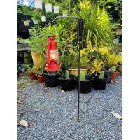 ราคา เสาแขวนตะเกียงเหล็กวินเทจ (16882232697)