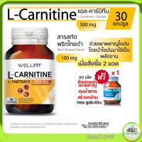 ราคา เผาผลาญไขมัน สร้างกล้ามเนื้อ WELLFIT L-Carnitine 500 mg 30 แคปซูล (18491531554)