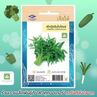 ราคา ผักบุ้งจีน ใบใหญ่ ผักบุ้งเย็นตาโฟ เจียไต๋ เมล็ดพันธุ์ผักบุ้ง เมล็ดผักบุ้ง (4932976869)