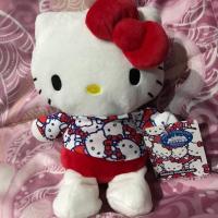 ราคา ตุ๊กตาคิตตี้ มือหนึ่ง ป้ายห้อย (860513021)