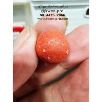 ราคา ครูบาแบ่ง วัดโตนด อำเภอโนนสูง จังหวัดนครราชสีมา ลูกอม สาริกาลิ้นทอง (KP5796) (27056251791)