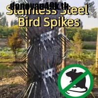 ราคา DODONVAN49K สแตนเลสสตีลนก Spikes, 0.5/1m ยืดหยุ่นกระรอก Deterrent, Bird Drive Away Bendable Anti-bite Entangle Design Anti Pigeon Spikes รั้ว (42819376497)