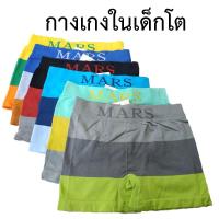 ราคา กางเกงในเด็กโต ลายทอใหญ่ 3 สี เด็กชาย 5 ขวบขึ้นไป Boxer บ๊อกเซอร์ (5543546312)