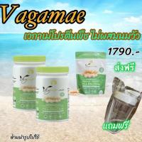 ราคา เก็บโคดในไฟล์ 100 ส่งฟรี VEGAMAE เวกาเม่ แบบซอง 200 g. โปรตีนถั่วลันเตาสีทอง ไม่มีนมวัว ไม่มีกลูเตน-แลคโตส (24469254254)