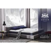 ราคา ที่นอน Lotus รุ่น Harvey ที่นอนยางพาราสังเคราะห์ ราคาพิเศษส่งตรงจากโรงงาน (6002639495)