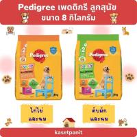ราคา Pedigree เพดดิกรี ลูกสุนัข 8 kg. (16586124201)