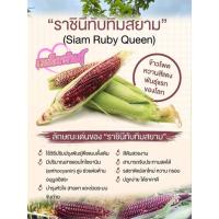 ราคา เมล็ดพันธุ์ข้าวโพดหวานทับทิมสยาม(ทานดิบได้)50 เมล็ด (40821301314)
