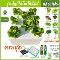 ราคา [ครบชุด]ชุดกล่องปลูกผัก ไฮโดรโปนิกส์ กล่องโฟม ปลูกผักไฮโดรโปนิกส์ hydroponic (25165521473)
