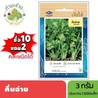 ราคา เจียไต๋ (ซื้อ10แถม2) เมล็ดพันธุ์ คึ่นฉ่าย ขนาด3กรัม ประมาณ7,500เมล็ด Celery ขึ้นฉ่าย คึ่นช่าย ขึ้นช่าย คื่นฉ่าย คื่นช่าย (3218090782)
